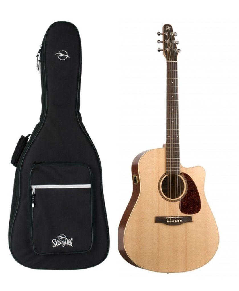 Seagull Coastline S6 Slim CW Spruce QI A/E Guitar
