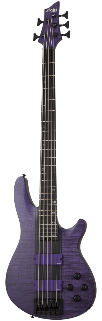 Schecter 1533 C-5 GT Bass - Satin Trans Purple