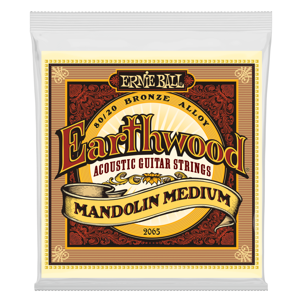 Ernie Ball Earthwood Mandolin Medium Loop End 80/20 Bronze Strings P02065