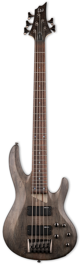 ESP LTD B-205SM Bass Guitar - See Thru Black Satin